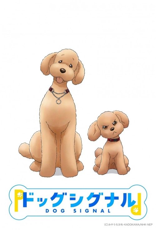 Dog Signal สัญญาณหมา ซับไทย ep1-20